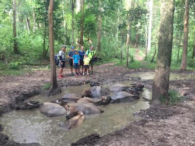 Photos from our guests | Chiang Mai Trekking | The best trekking in Chiang Mai with Piroon Nantaya